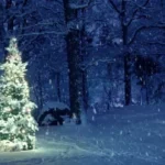 Буде справжня зима? Напередодні Різдва різко похолодає