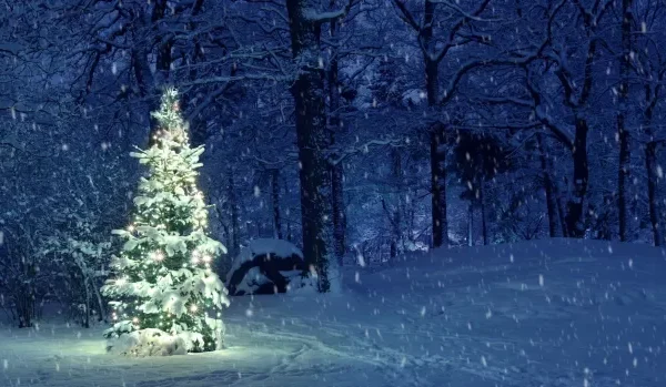 Буде справжня зима? Напередодні Різдва різко похолодає