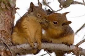 Народні прикмети на 10 січня. Щасливий день для весілля та сімейного єднання. Що українці традиційно робили, а чого уникали аби зберегти своє щастя