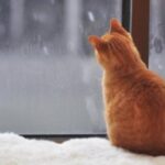 Риболовля буде гарна