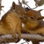 .Народні прикмети на 19 лютого. Секрет домашньої випічки на Архипів день та забобони, чому українки цього дня ніколи не бралися за віник