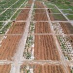 «Змушували копати й грабували загиблих»: історія військового Сергія Гриціва про злочини росіян у Маріуполі