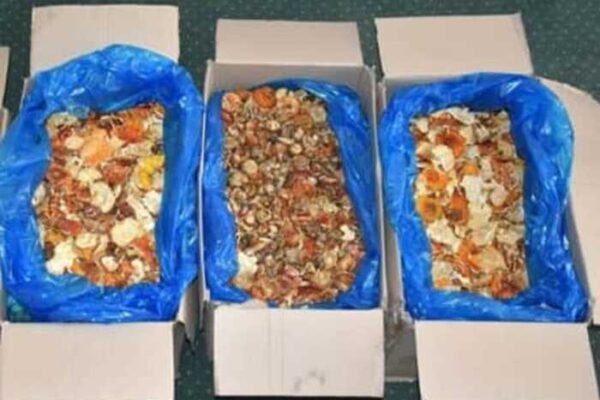 Польські прикордонники затримали українця з контрабандою мухоморів у коробках