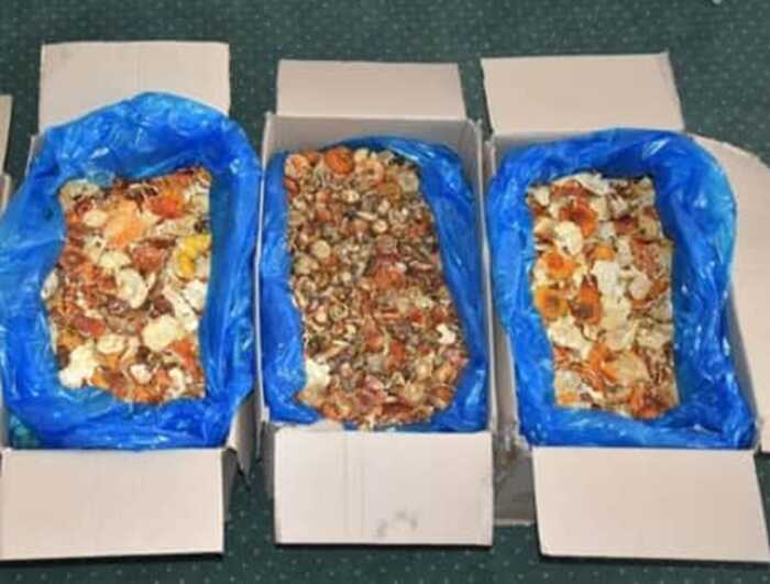 Польські прикордонники затримали українця з контрабандою мухоморів у коробках