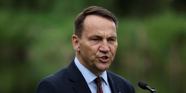 "Це інше": Сікорський заявив, що Україна не готова до вступу в ЄС у 2027 році