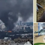 Як удари по Ірану позначилися на постачанні засобів терору в Росію і які можливості отримала Україна: аналіз ситуації, - Злий Одесит