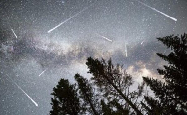 За непримітний "булижник" інколи платять цілий статок: Кому належать уламки метеоритів і скільки вони коштують