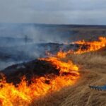 Штраф шалений!  Українцям нагадали про покарання за спалювання сухої трави