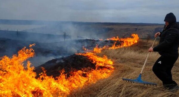 Штраф шалений!  Українцям нагадали про покарання за спалювання сухої трави