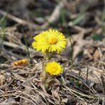 Народні прикмети на 18 березня. Яких забобонів українці дотримувались цього дня, щоб не накликати бідності