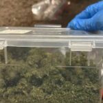 Амфетамін і канабіс на понад 300 тисяч: у Києві затримали учасників наркомережі