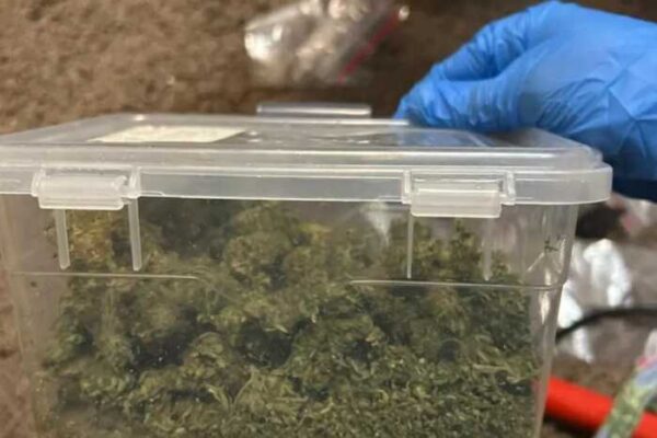 Амфетамін і канабіс на понад 300 тисяч: у Києві затримали учасників наркомережі