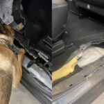 На Львівщині викрили партію наркотиків з Польщі на 48 мільйонів гривень