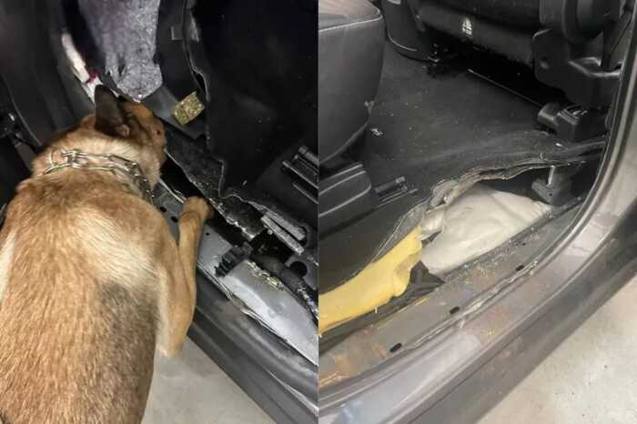 На Львівщині викрили партію наркотиків з Польщі на 48 мільйонів гривень