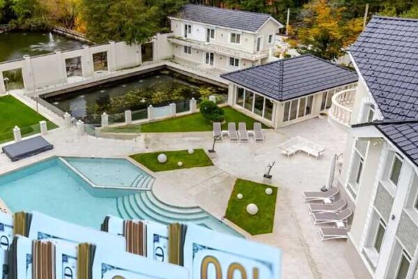 Експодатківець Олександр Стетюха продає розкішний маєток за 4 мільйона доларів під Києвом, пояснюючи багатомільйонні статки «спадком від бабусі дружини»