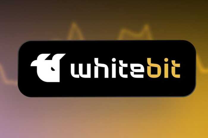 After the exposure of a “Russian trace” in the WhiteBIT crypto exchange, former Party of Regions figures Dmytro and Mykyta Shentsev began scrubbing the internet of investigations into money laundering