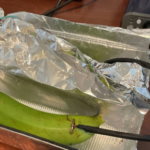 Банан замість дорогого кабелю: Що показав гучний експеримент на форумі diyAudio