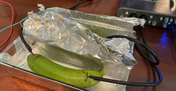 Банан замість дорогого кабелю: Що показав гучний експеримент на форумі diyAudio