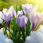 Особливий момент! Названо найпотужнішу дату березня - у цей день може змінитися все