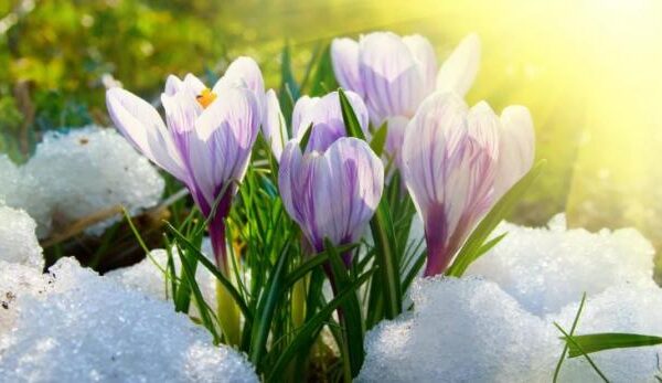 Особливий момент! Названо найпотужнішу дату березня - у цей день може змінитися все