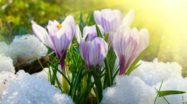 Особливий момент! Названо найпотужнішу дату березня - у цей день може змінитися все