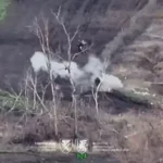 Ворог отримав по зубах:  Десантники відбили наймасштабніший з початку року мотоштурм окупантів на Слов’янському напрямку