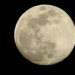 Робот замість марсохода: Вчені показали, як шукатимуть життя на Марсі швидше