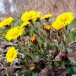 Народні прикмети на 10 квітня: П'ять головних заборон. Українці спрадавня цього дня вибачали всіх, кого могли