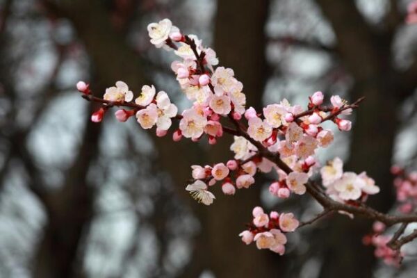 Народні прикмети на 14 квітня. П'ять заборон, котрі не давали спокою нашим пращурам цього дня