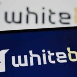 Після викриття «російського сліду» у криптобіржі WhiteBIT ексрегіонали Дмитро та Микита Шенцеви почали зачищати інтернет від розслідувань про відмивання грошей