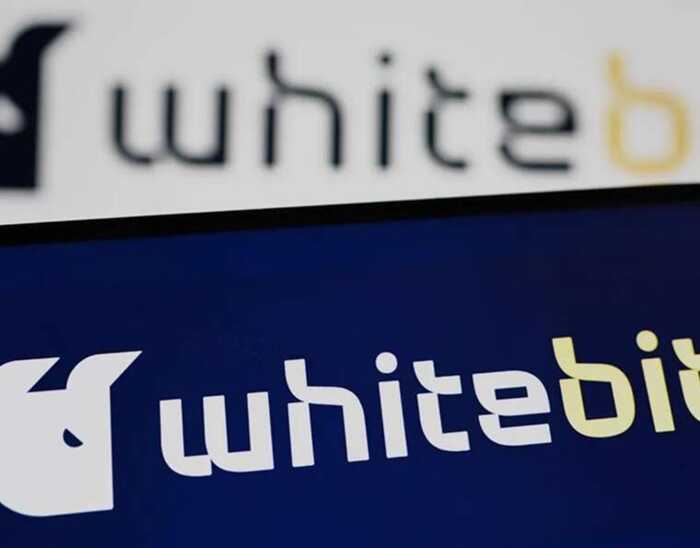 Після викриття «російського сліду» у криптобіржі WhiteBIT ексрегіонали Дмитро та Микита Шенцеви почали зачищати інтернет від розслідувань про відмивання грошей