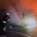 Унаслідок російських обстрілів загорівся Дунайський біосферний заповідник