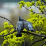 Народні прикмети на 28 квітня. Що українці спрадавна не робили цього дня, аби уникнути хвороб