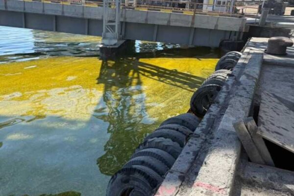 У порту Одещини розлилася олія після російської атаки
