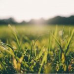 Народні прикмети на 16 червня. Як не відвадити фінансове благополуччя. Які домашні справи сьогодні варто робити, а які ні