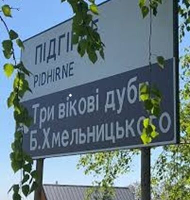 Де на околиці Львова ростуть знамениті дуби Богдана Змельницького, яким понад 400 років: живі свідки бурхливих подій мають статус природних пам'яток