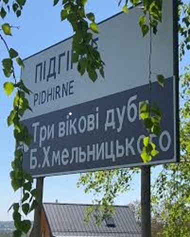 Де на околиці Львова ростуть знамениті дуби Богдана Змельницького, яким понад 400 років: живі свідки бурхливих подій мають статус природних пам'яток