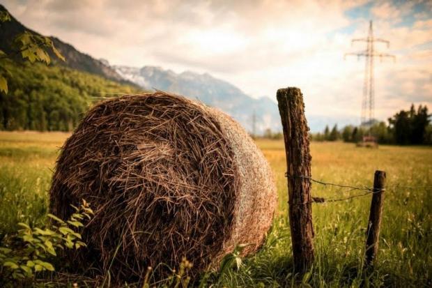 Народні прикмети на 14 серпня. Що українські дівчата вчиняли цього дня, щоб не пройшло повз особисте щастя