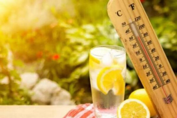 Кліматична межа буде подолана: Вчені попередили про дедалі сильніші хвилі спеки
