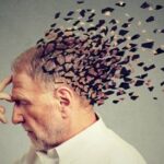 Вчені зробили важливе відкриття щодо Альцгеймера: Який білок пошкоджує мозок