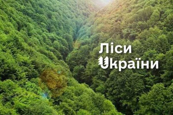ДП «Ліси України» оголосило тендер на 11 мільйонів гривень із вимогами під конкретного виробника Fortinet